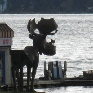 Meet your Posher, Judy